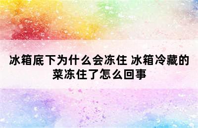 冰箱底下为什么会冻住 冰箱冷藏的菜冻住了怎么回事